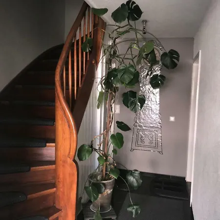 Apartment Haus Ventura *